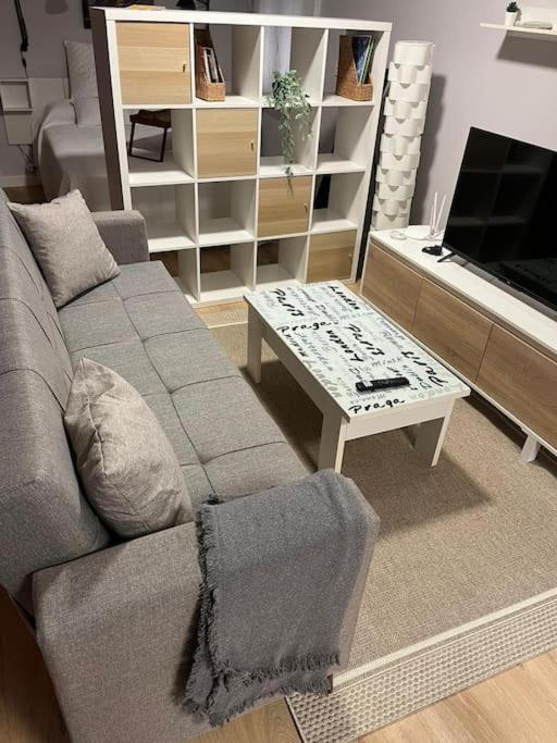 Apartamento En La Rioja ビジャメディアーナ・デ・イレグア エクステリア 写真